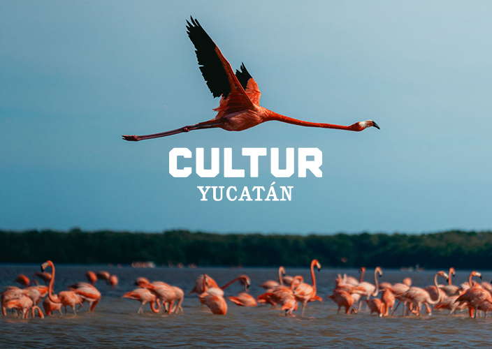 Patronato de las Unidades de Servicios Culturales y Turísticos del Estado de Yucatán